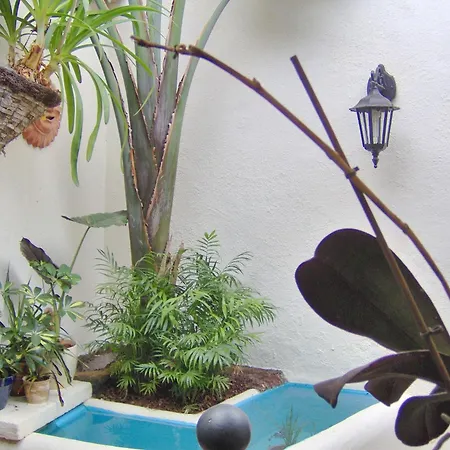 Lejlighed Small 15m For Single Use With Sea View