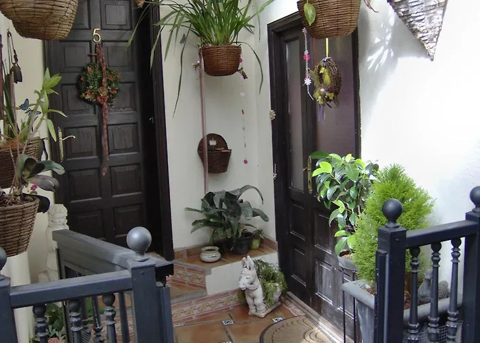 Small 15m For Single Use With Sea View Appartement Icod De Los Vinos