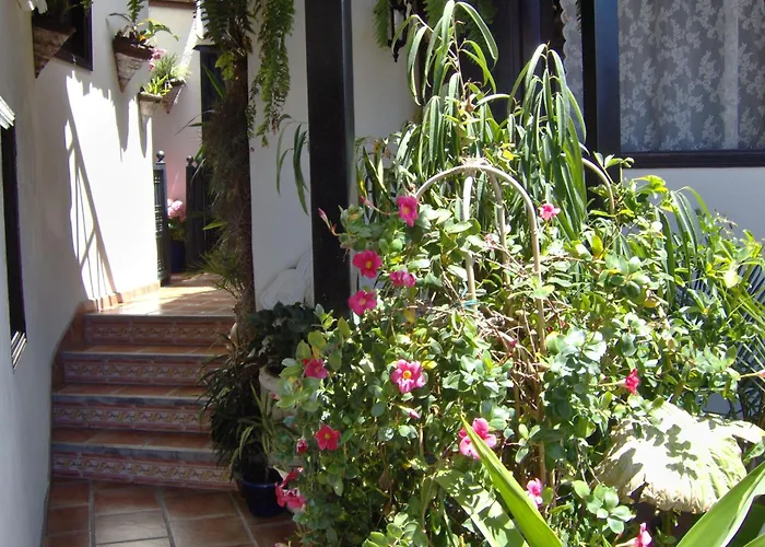 Small 15m For Single Use With Sea View * Icod De Los Vinos