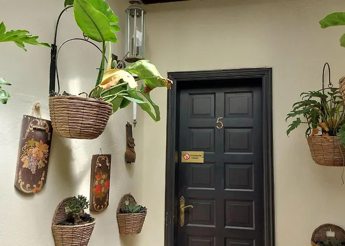 Small 15m For Single Use With Sea View Appartement *