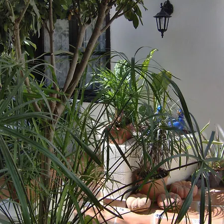 Apartamento Small 15m For Single Use With Sea View *