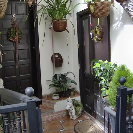 Small 15m For Single Use With Sea View Apartment Icod De Los Vinos