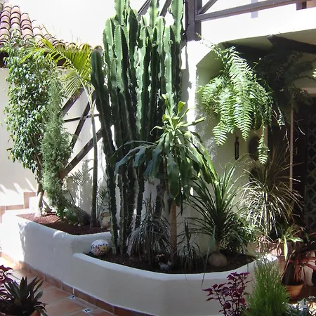 Apartamento Small 15m For Single Use With Sea View Icod De Los Vinos