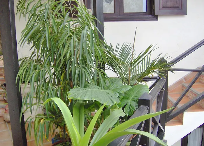 Small 15m For Single Use With Sea View * Icod De Los Vinos