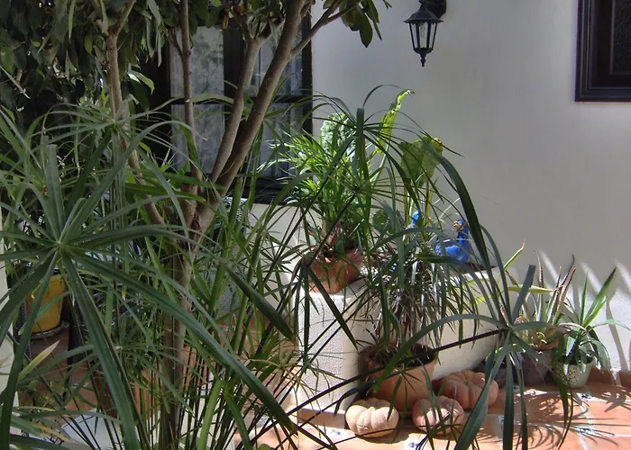 Apartament Small 15m For Single Use With Sea View *