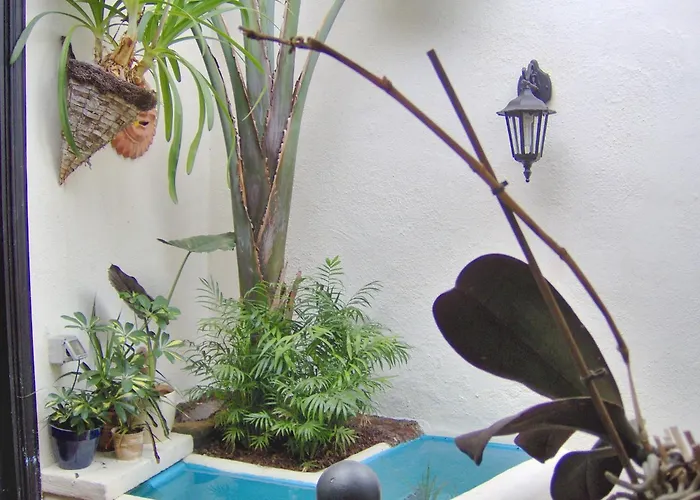 Apartament Small 15m For Single Use With Sea View