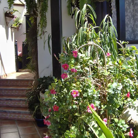 Small 15m For Single Use With Sea View * Icod de los Vinos